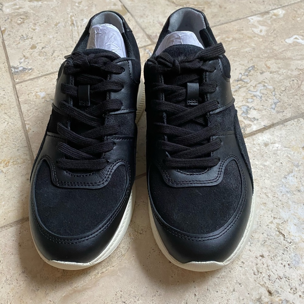 Everlane sneakers
